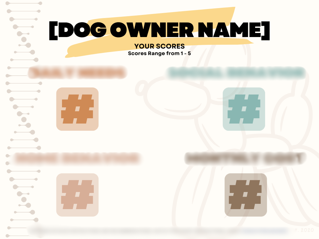 Owner Profile Builder