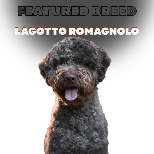 Dog Breed DNA Profile: Featured Breed